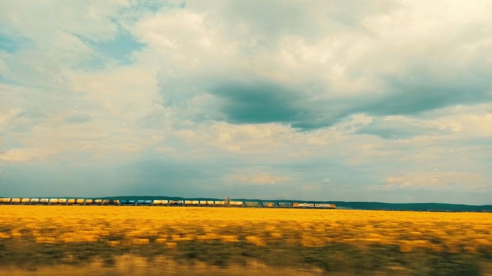 Photograph by Елена Кадаева