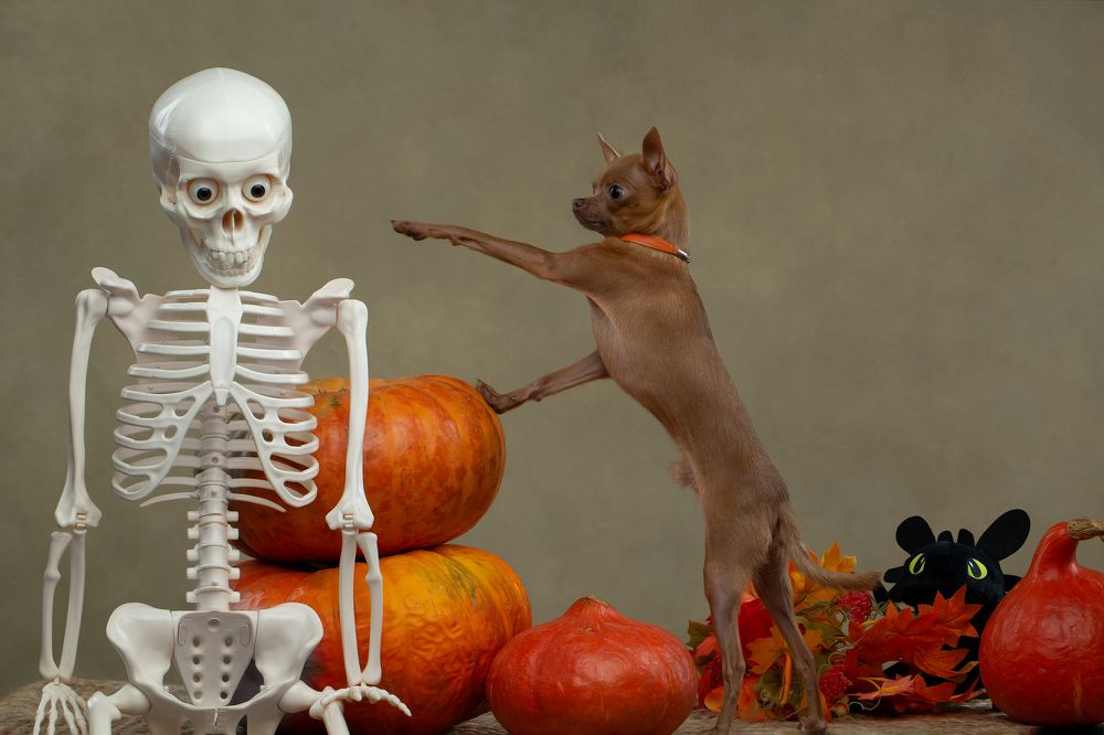 Photograph by Kovaleva Irina