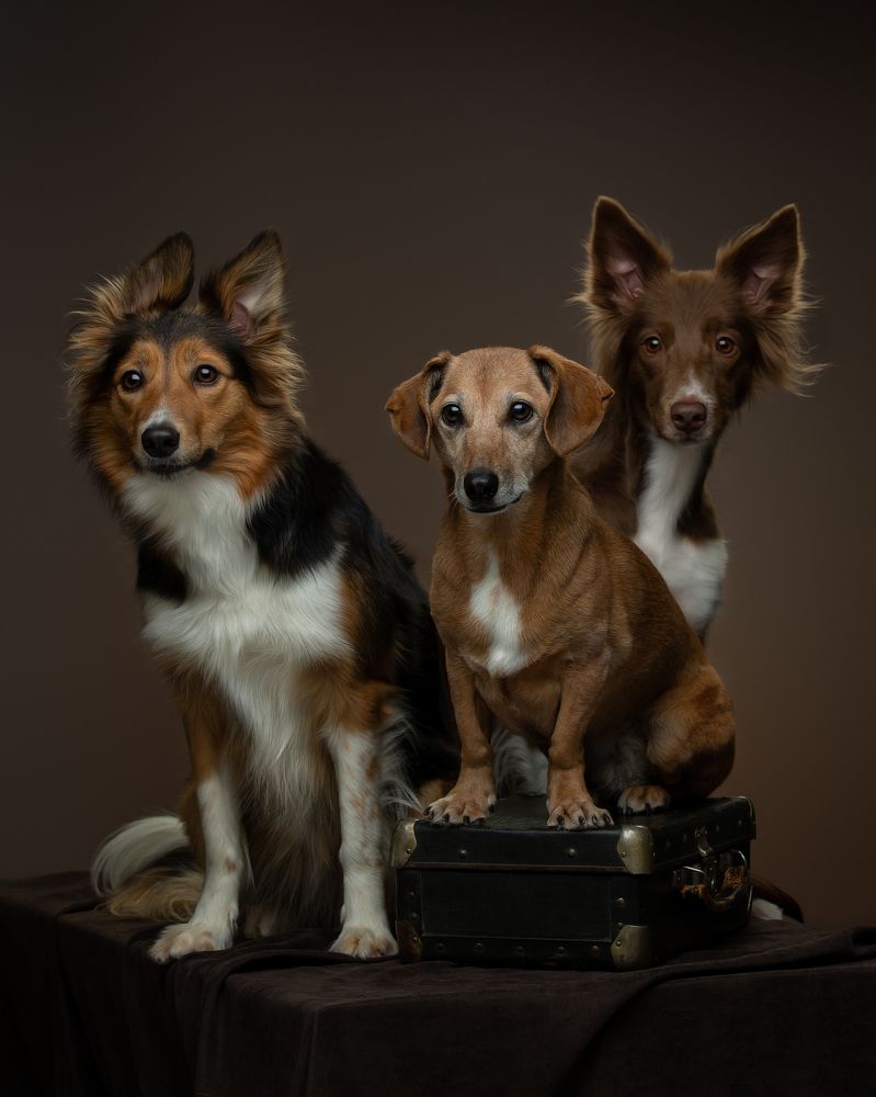 Photograph by Kovaleva Irina