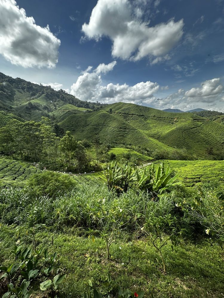 Photograph by phantoms thief