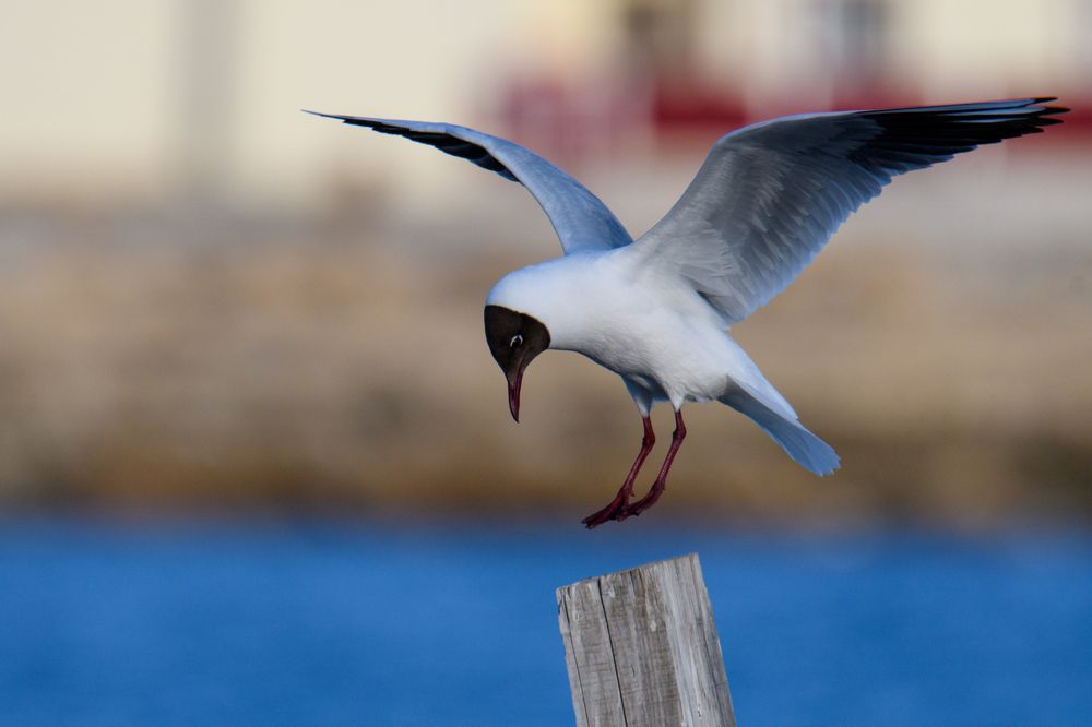 Photograph by Алексей Сальников