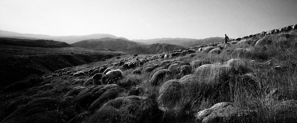 Photograph by MARJAN TAGHIPOUR