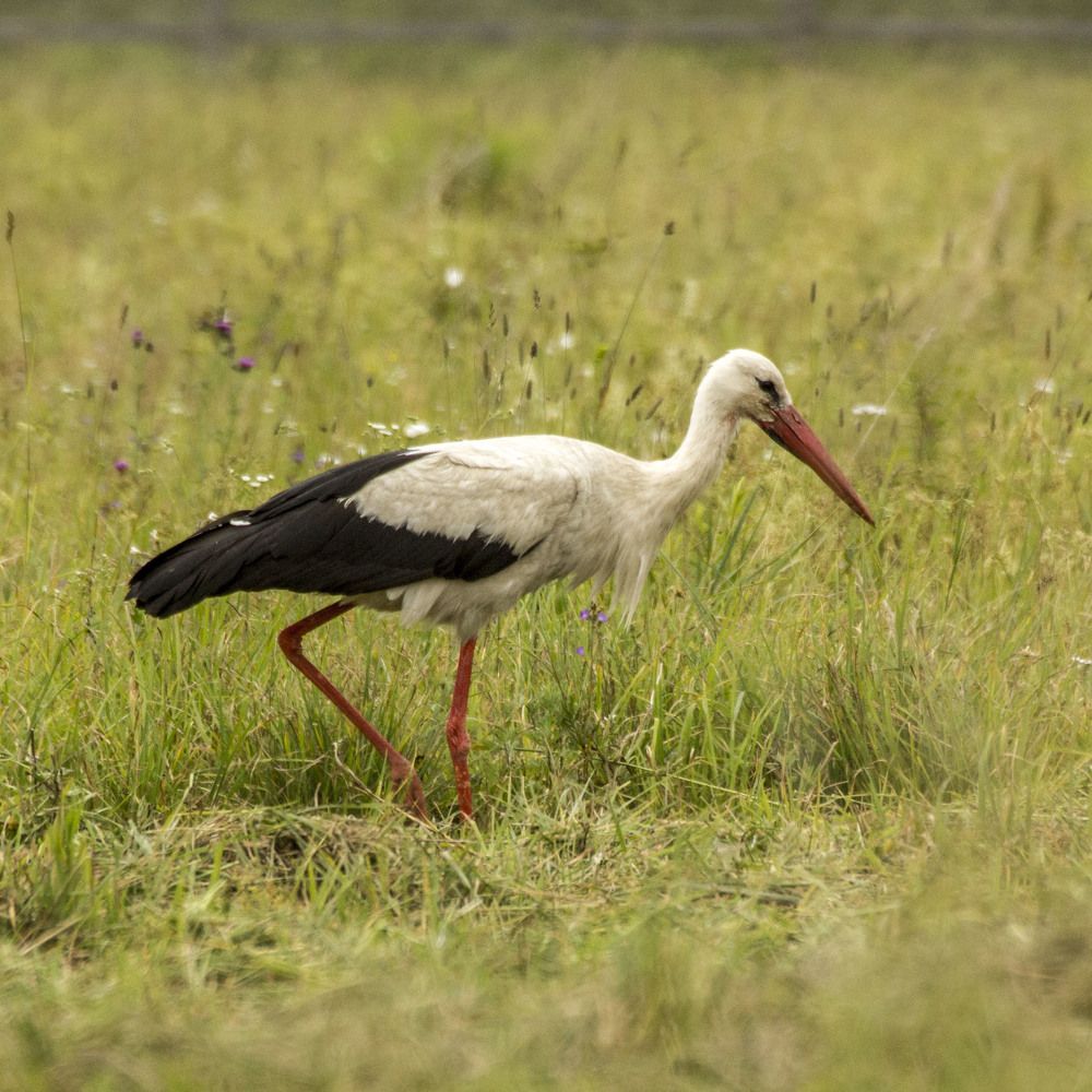 Фотография автора Александр Собокарь