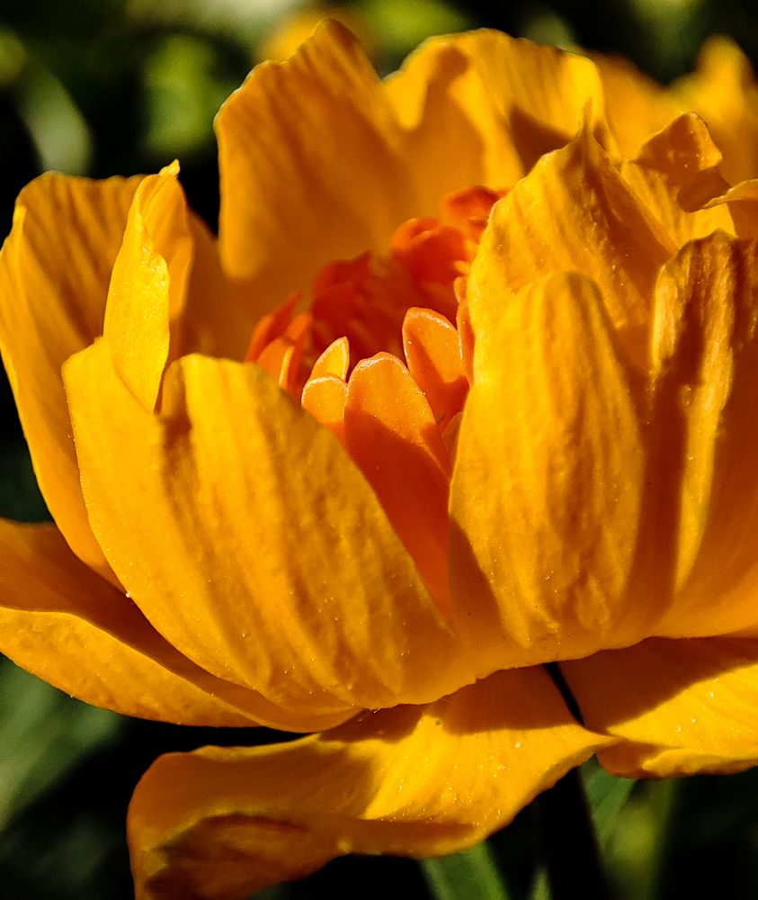 Фотография автора Александр Довганюк