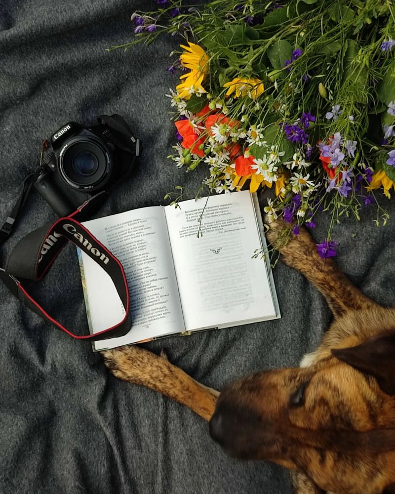 Photograph by Татьяна Долгушева