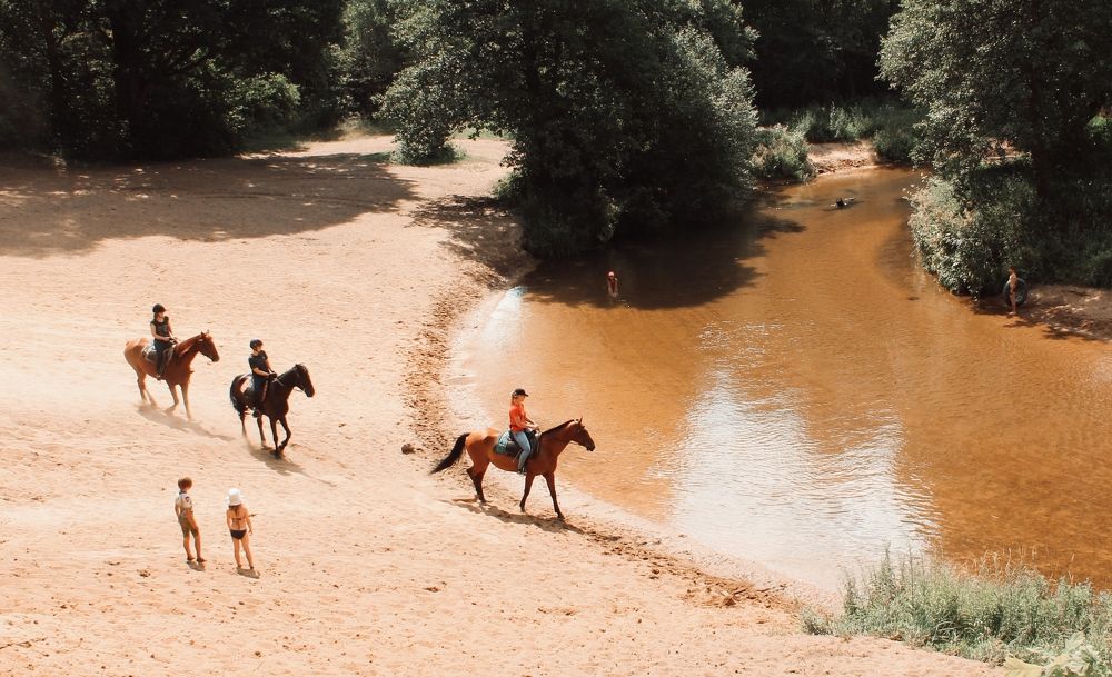 Фотография автора Татьяна Могилевец