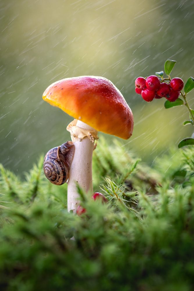 Photograph by Ольга Рагинская