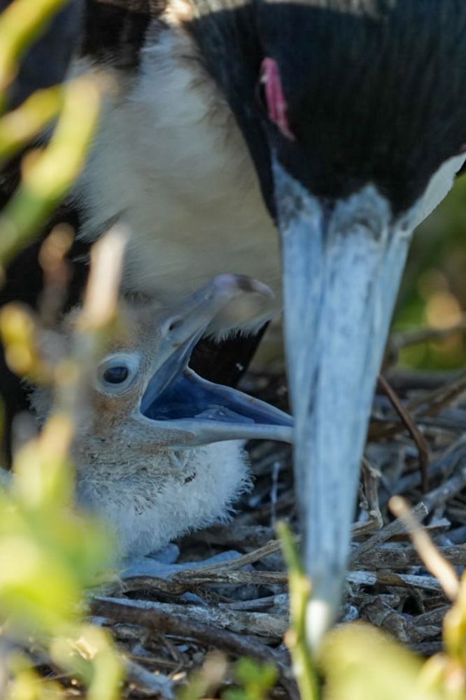 Фотография автора Jian Ma