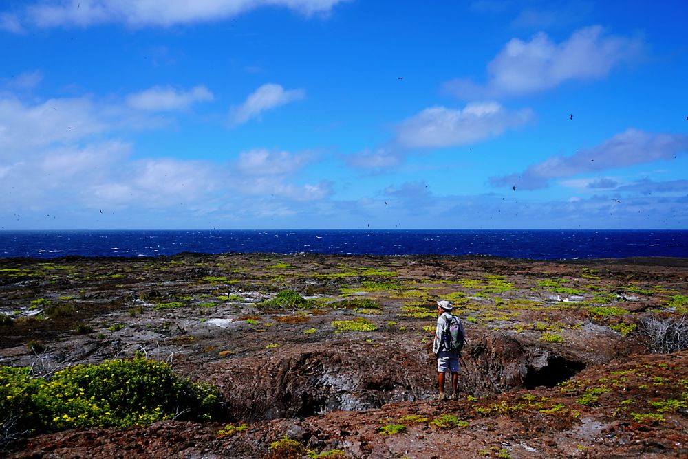 Фотография автора Jian Ma