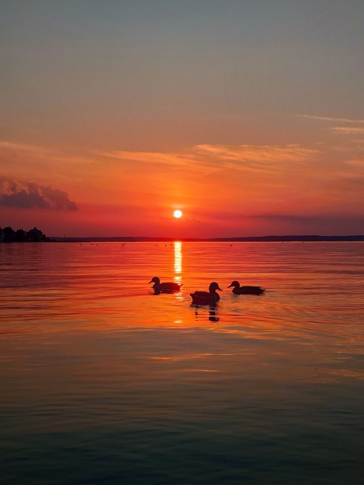 Photograph by Lev Kaufman