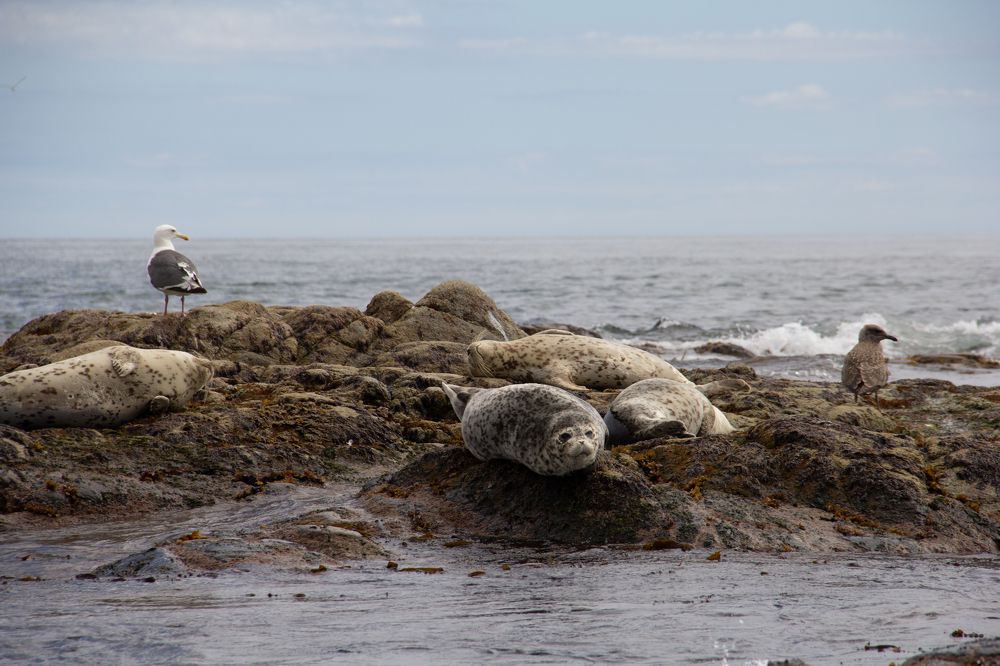 Photograph by Ольга Логарева