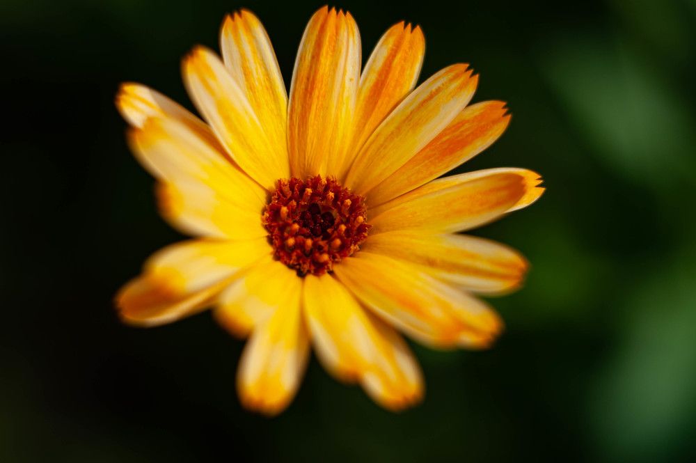 Photograph by Вадим Басов