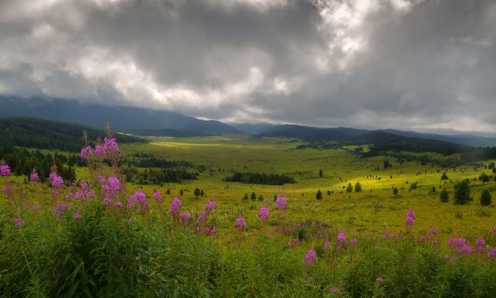 Photograph by Евгений Зинов