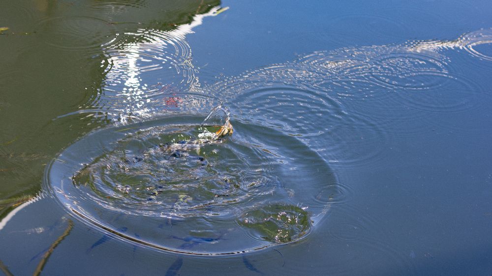 Photograph by Ольга Логарева