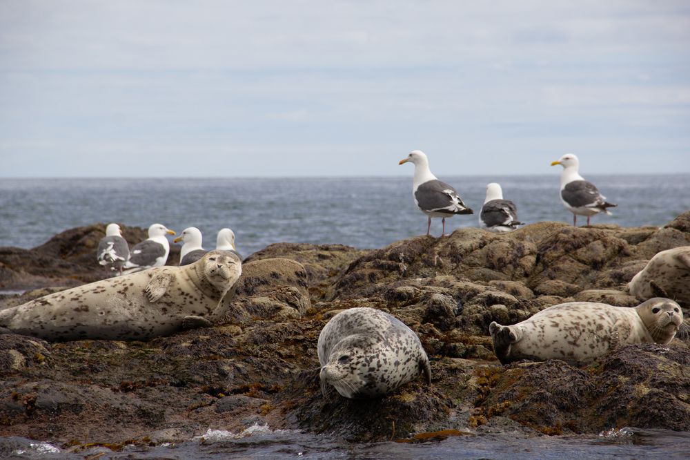 Photograph by Ольга Логарева