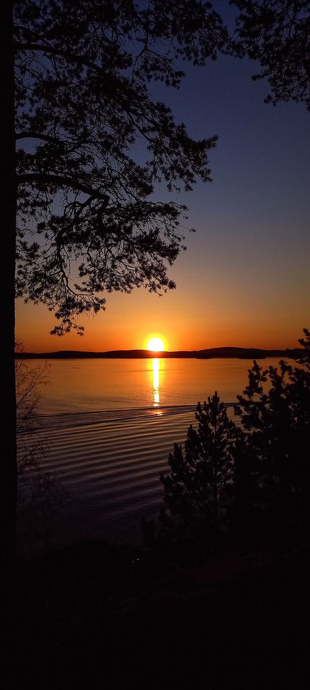 Фотография автора Анастасия Владимирова