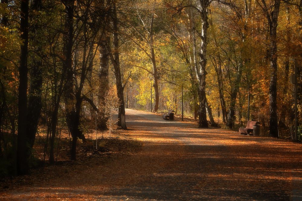 Photograph by Евгений Зинов