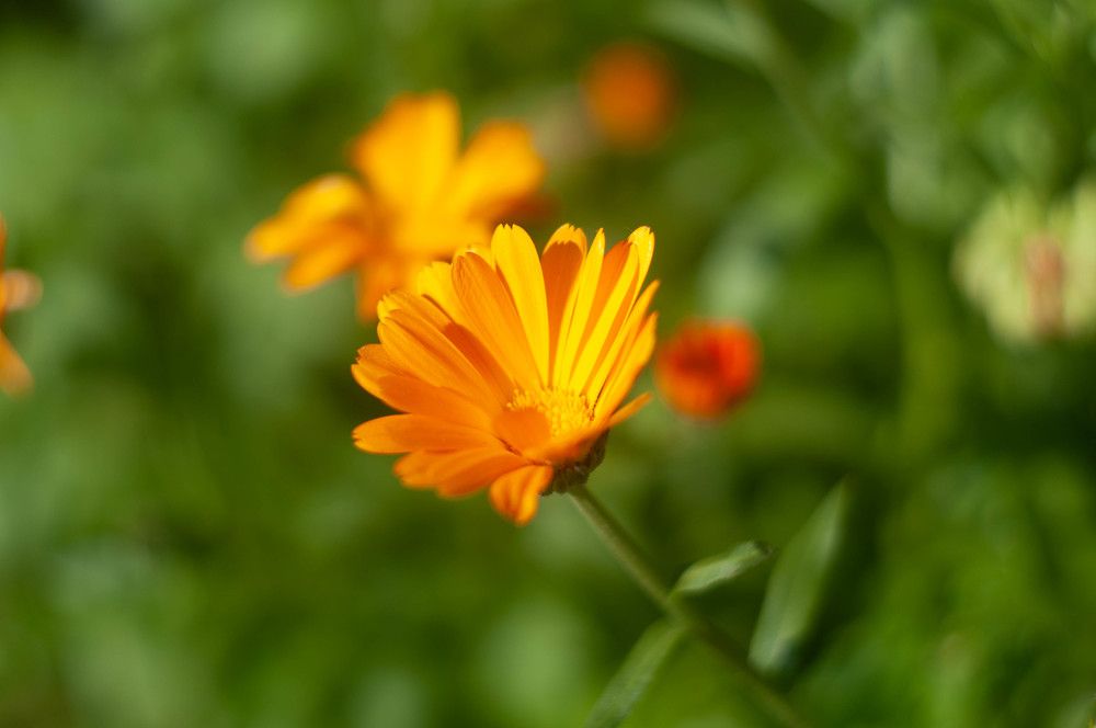 Photograph by Вадим Басов