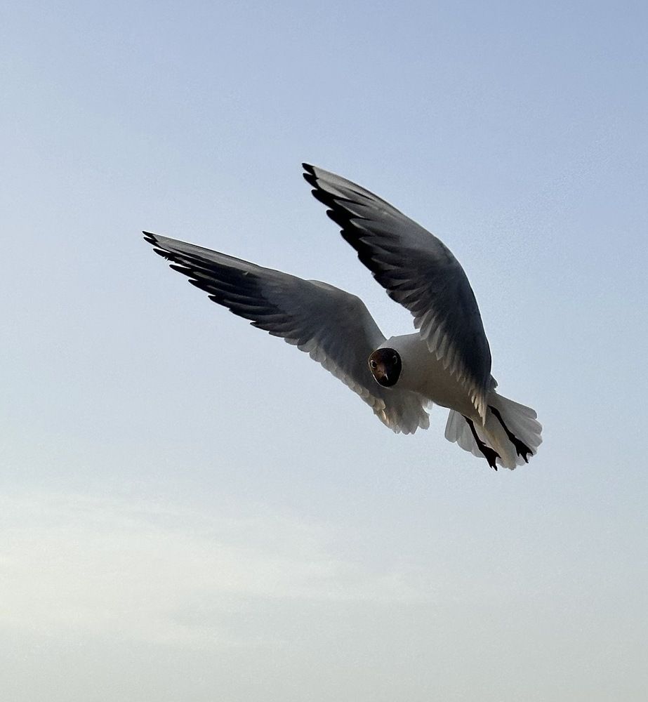 Photograph by Гуляева Светлана