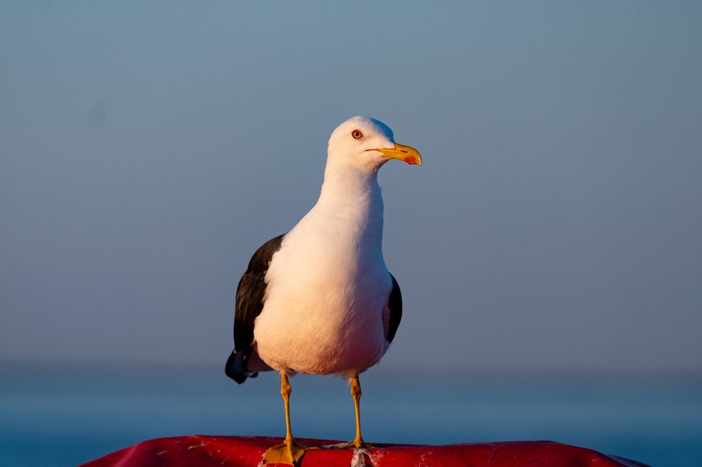 Photograph by Илья Кулаков