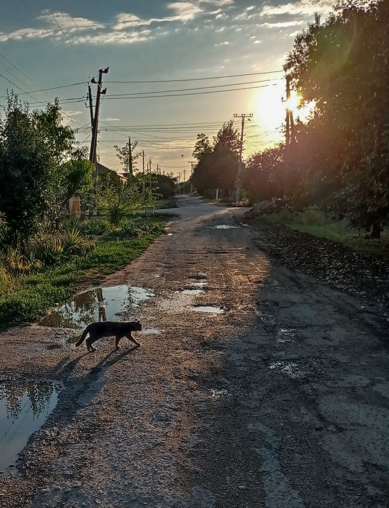 Photograph by Ольга Бакурская