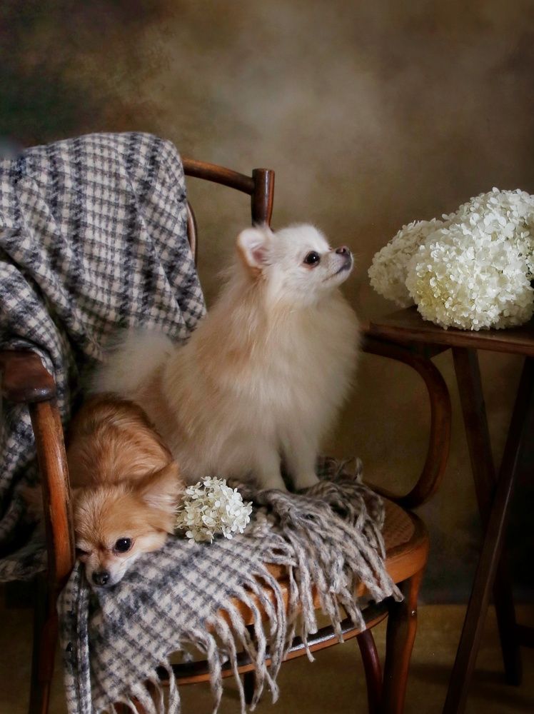 Photograph by Елена Бородина