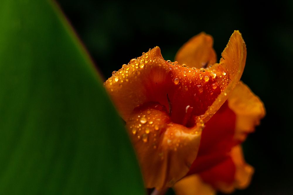 Photograph by Валентина Маслова