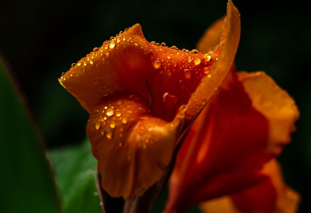 Photograph by Валентина Маслова