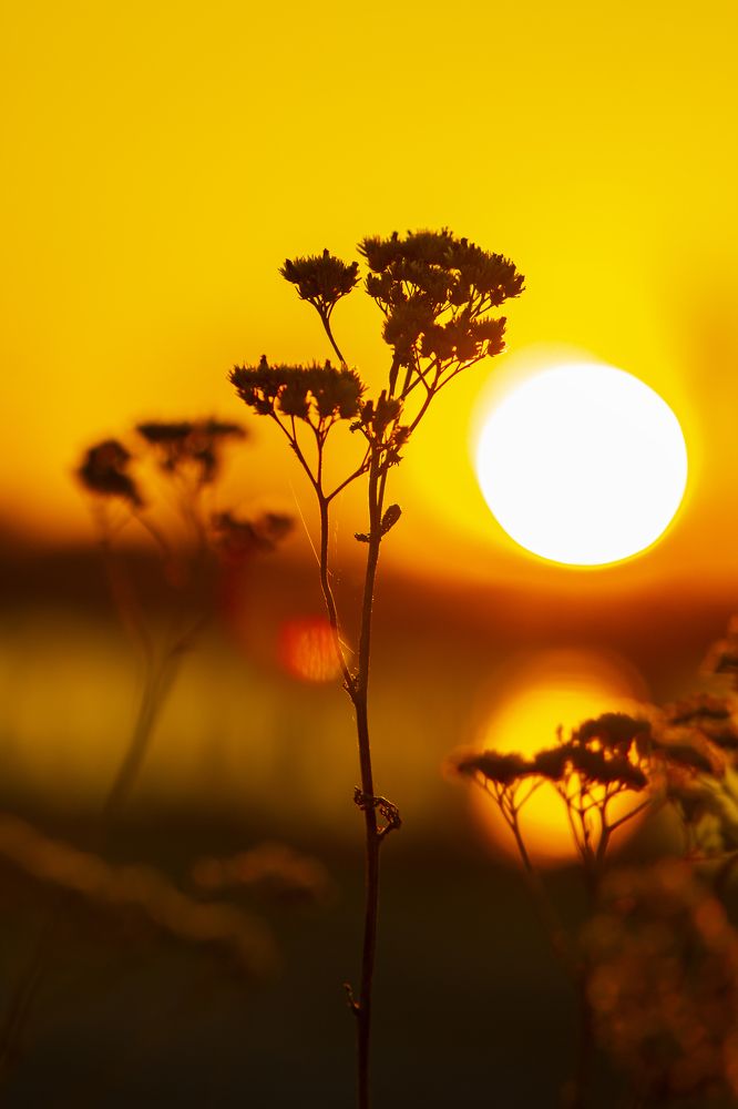 Photograph by Елена Павлова