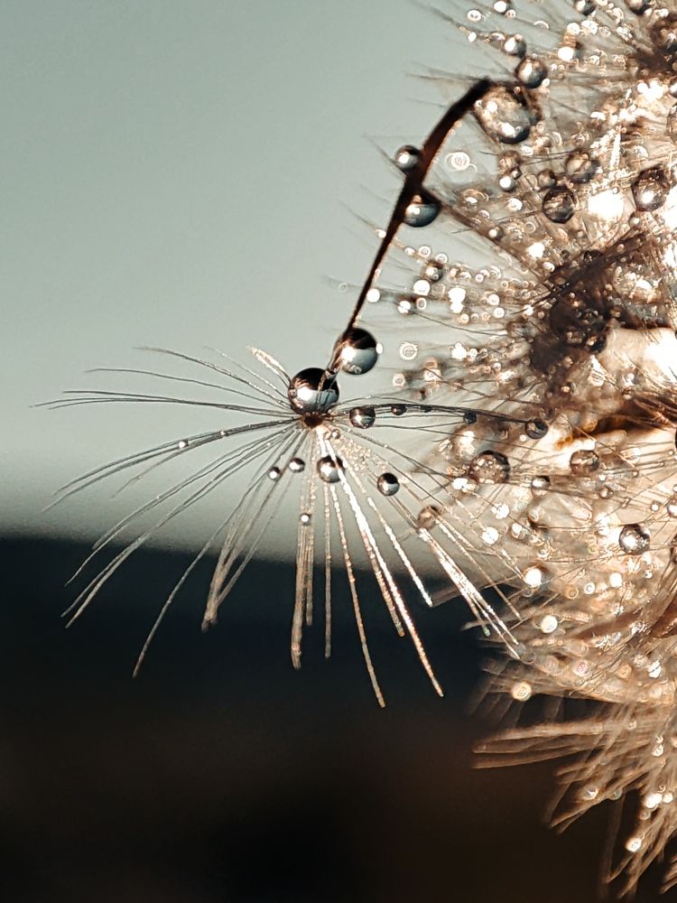 Photograph by Татьяна Долгушева