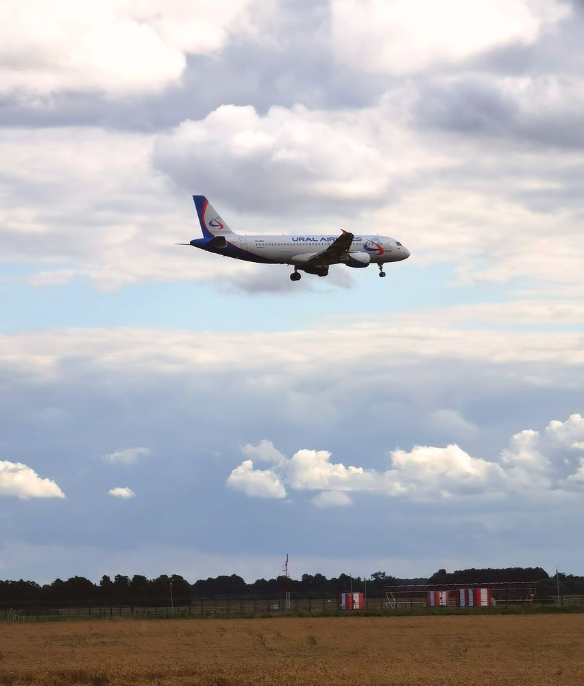 Photograph by Елизавета Лай