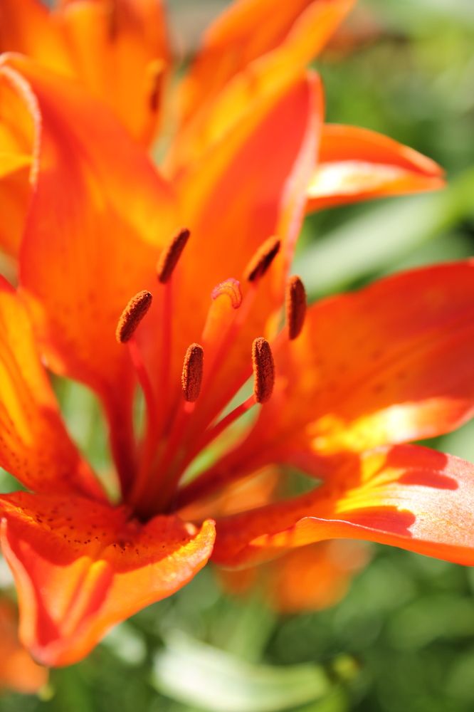 Photograph by Ольга Крючкова