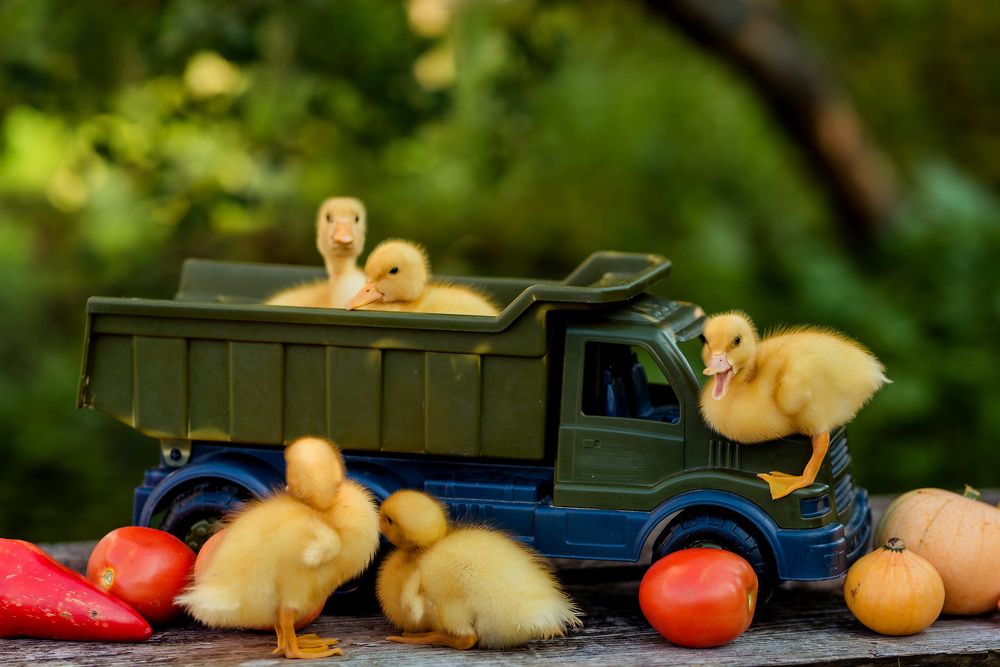 Photograph by Ирина Юрлова