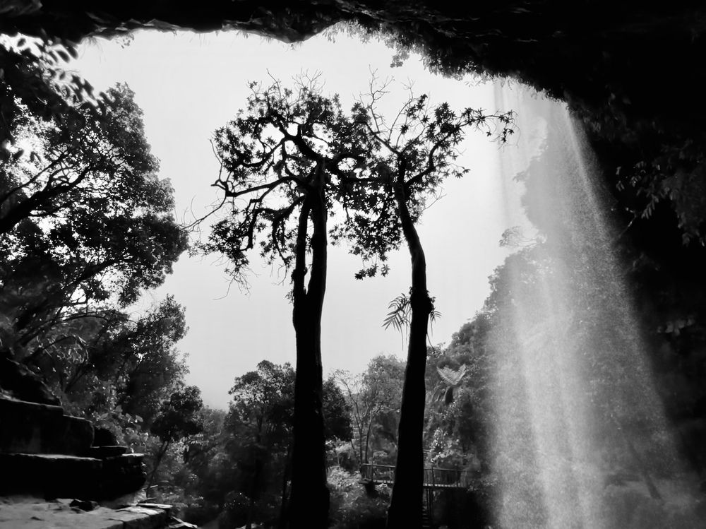 Фотография автора BIPLAB MISRA