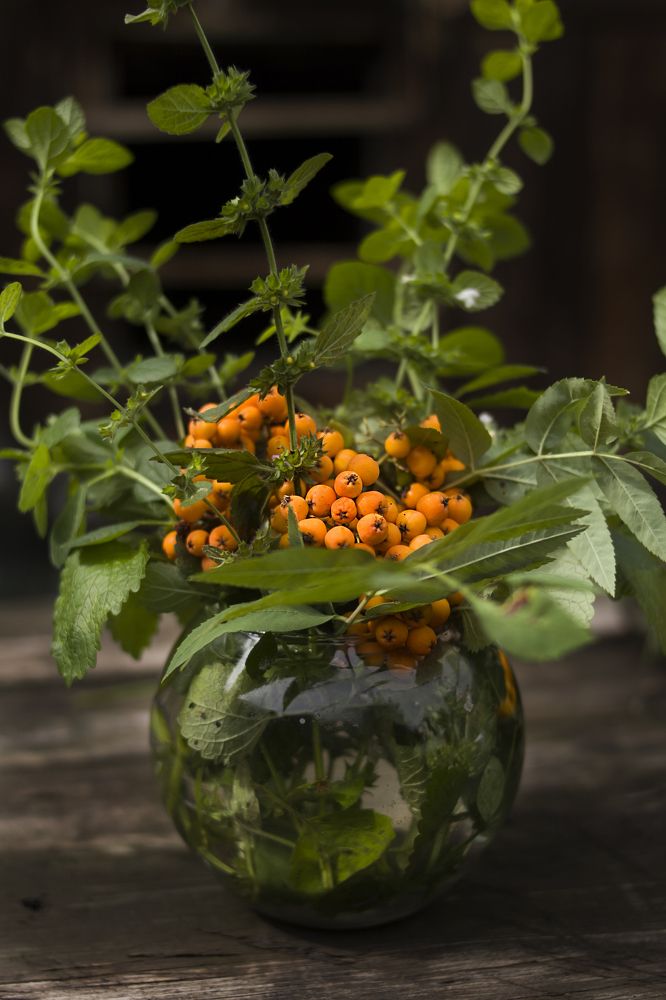 Photograph by Татьяна Шахматова