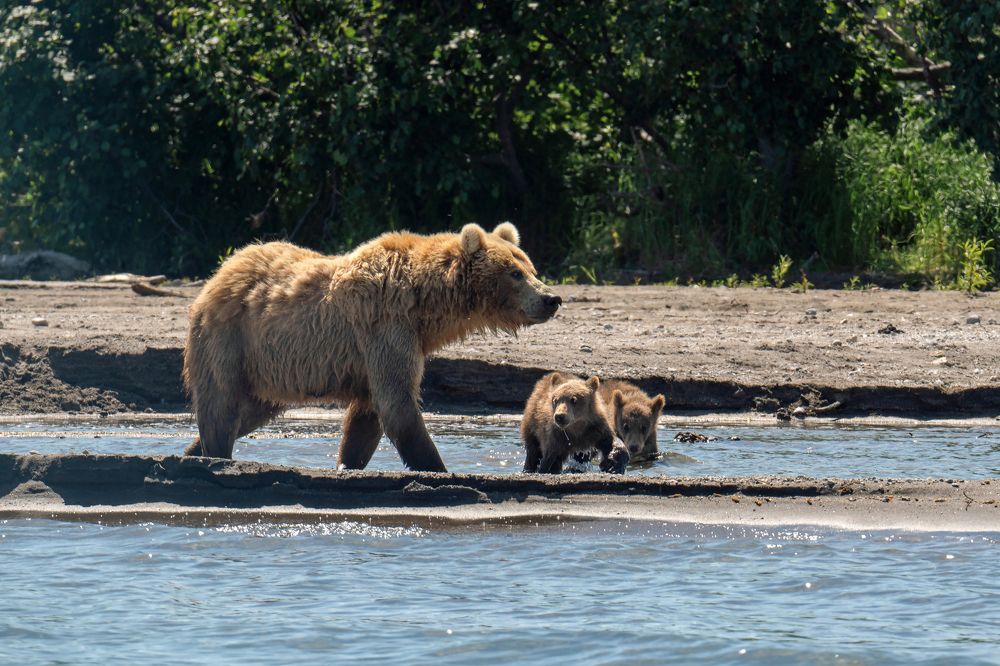 Photograph by Екатерина Просвирнина