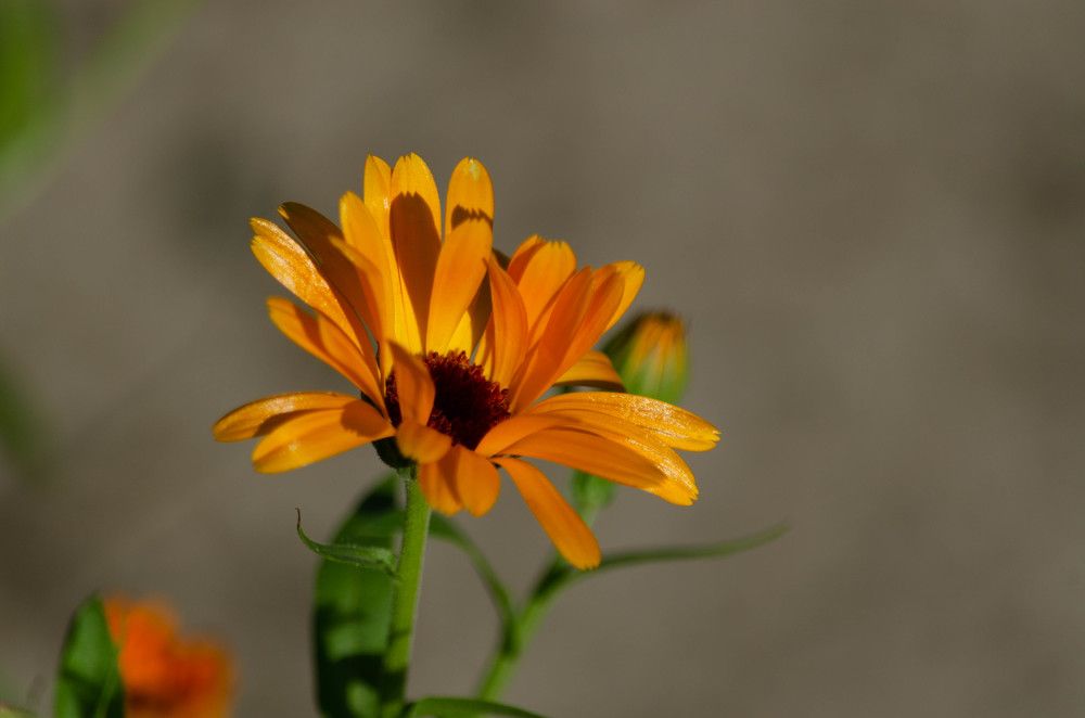 Photograph by Вадим Басов