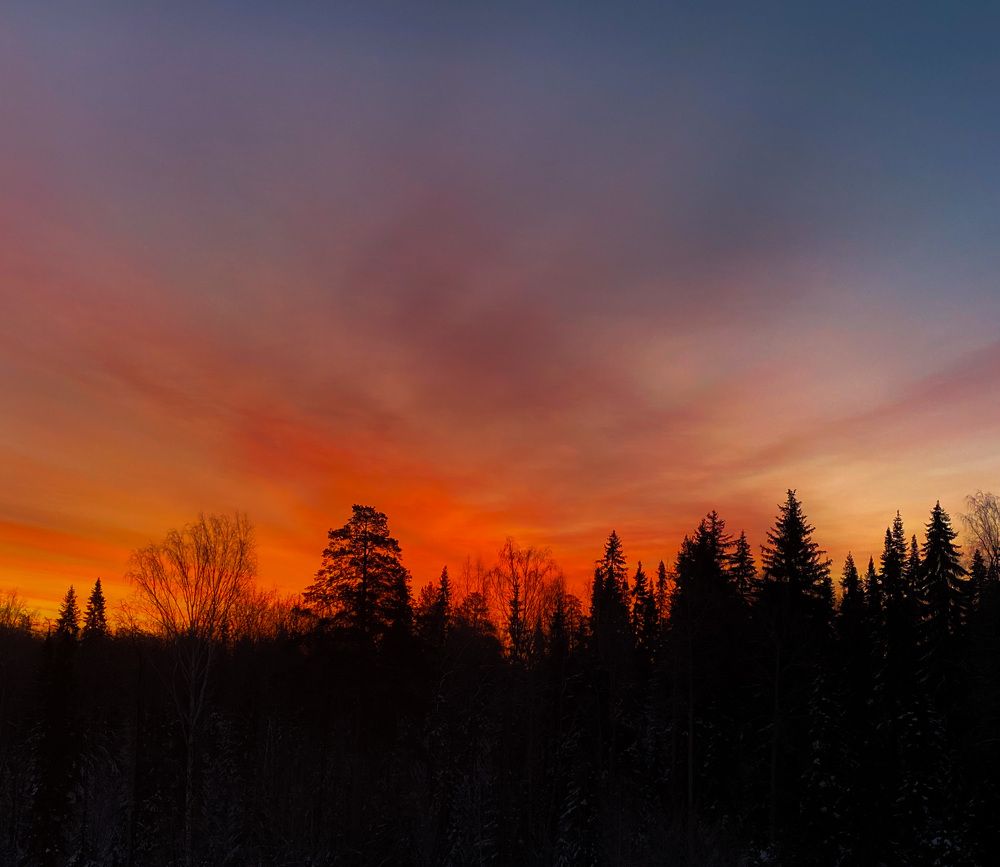 Photograph by Анастасия Чушкова