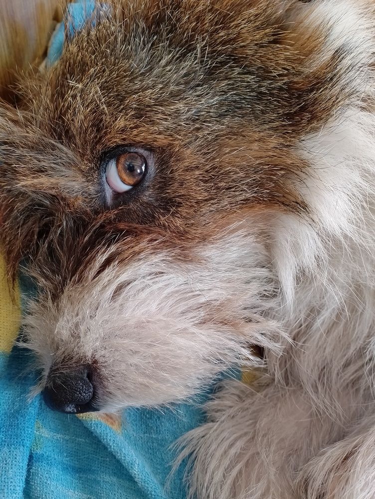 Photograph by Юлия Чувичилова