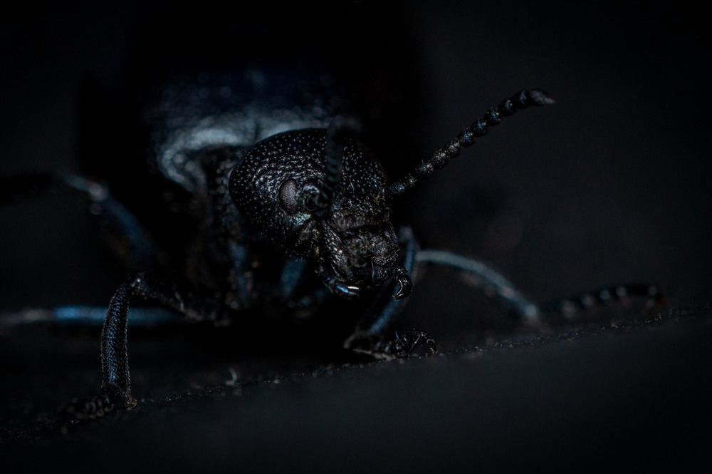 Фотография автора Виталий Сурков