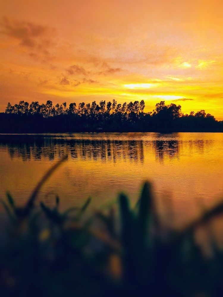 Photograph by Sudeshna Chanda