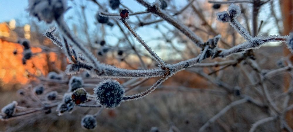 Photograph by Ольга Лагунова