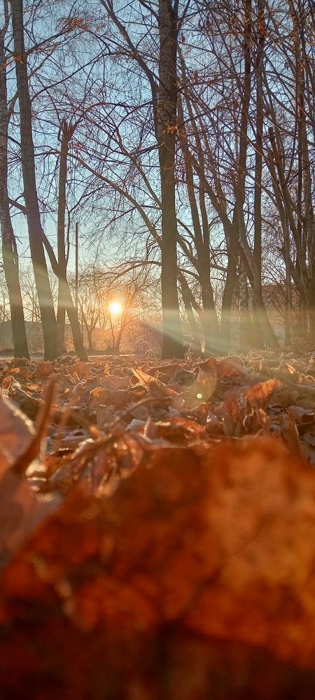 Photograph by Ольга Лагунова