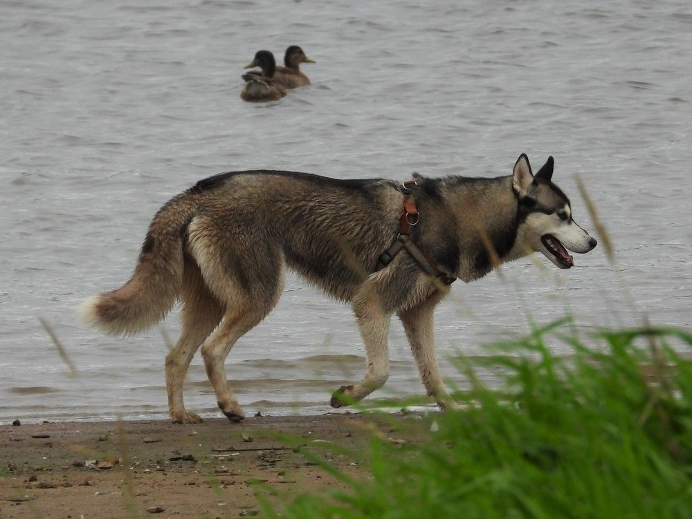 Photograph by Владимир Джерихов