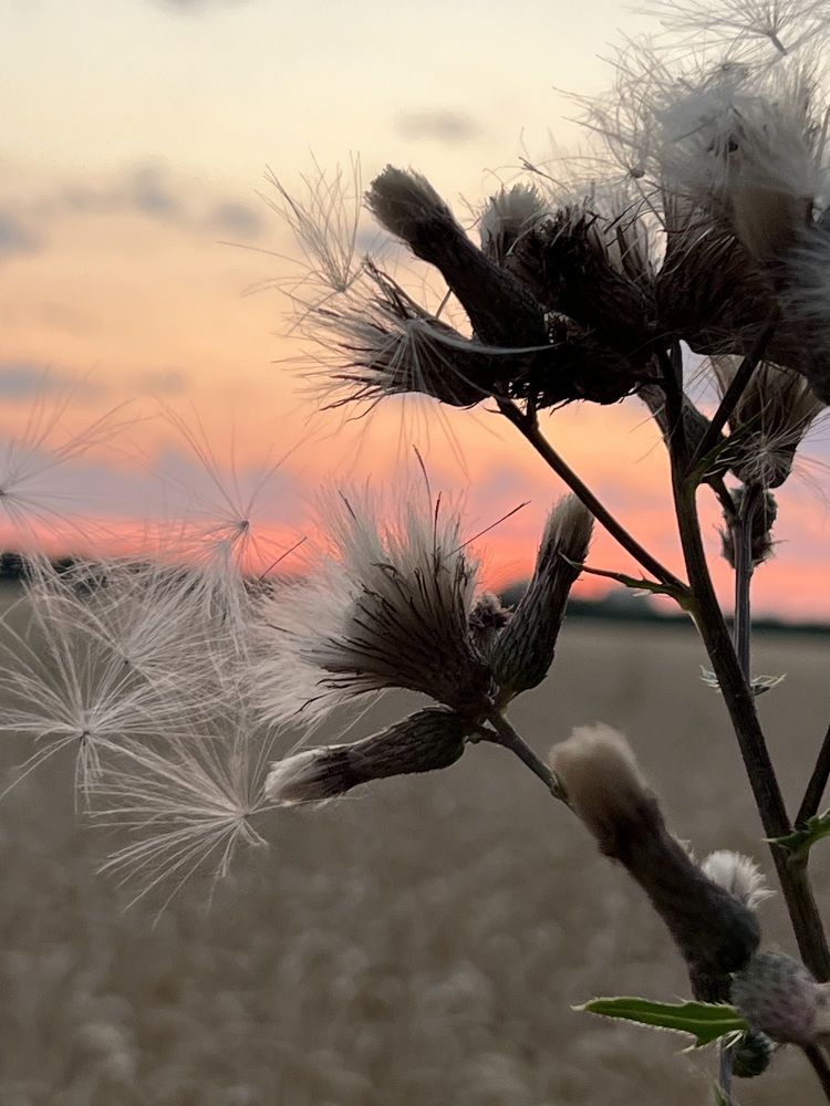 Photograph by Eugenia Schmidt