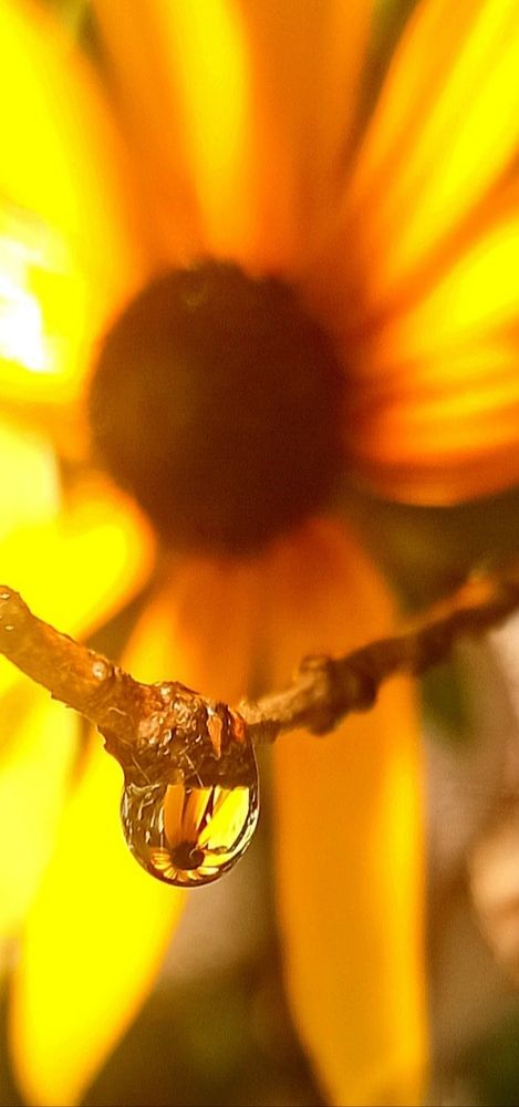 Photograph by Ольга Тихонова