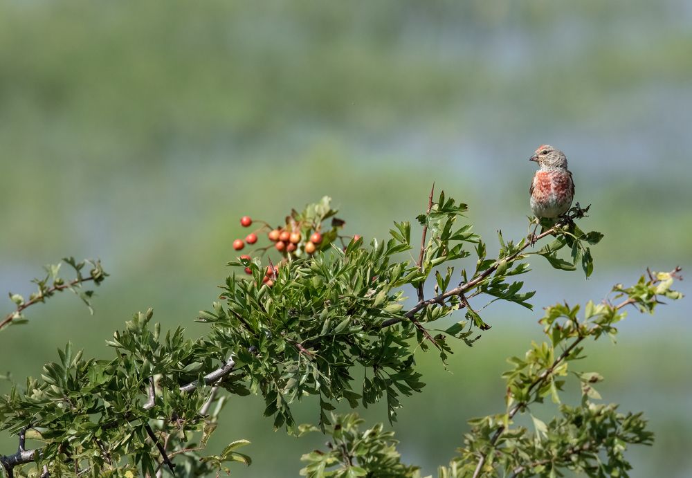 Photograph by Neza Cankar