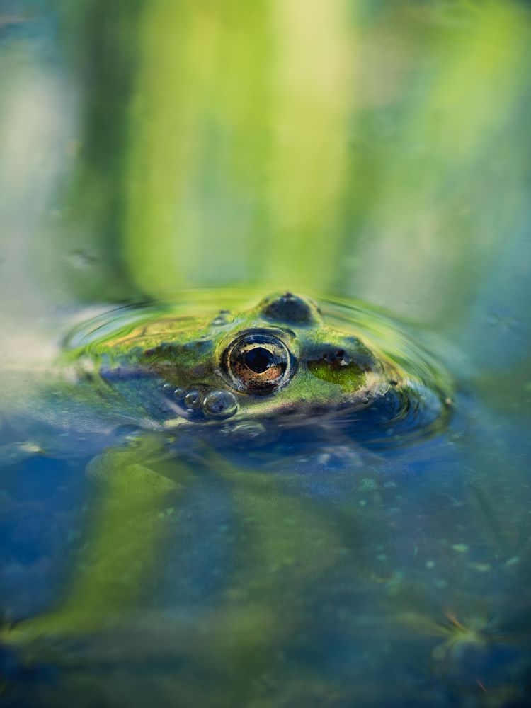 Фотография автора Юрий Говорков