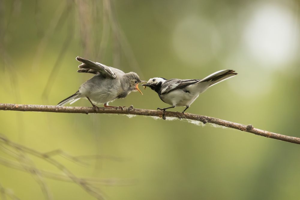 Фотография автора Суслов Дмитрий