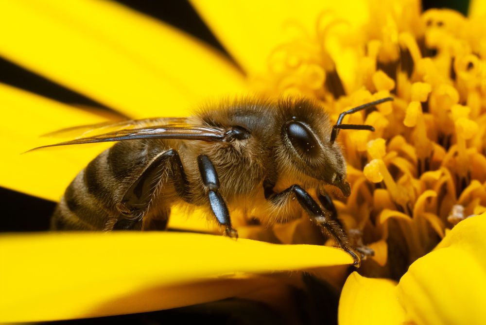 Photograph by Екатерина Котляренко